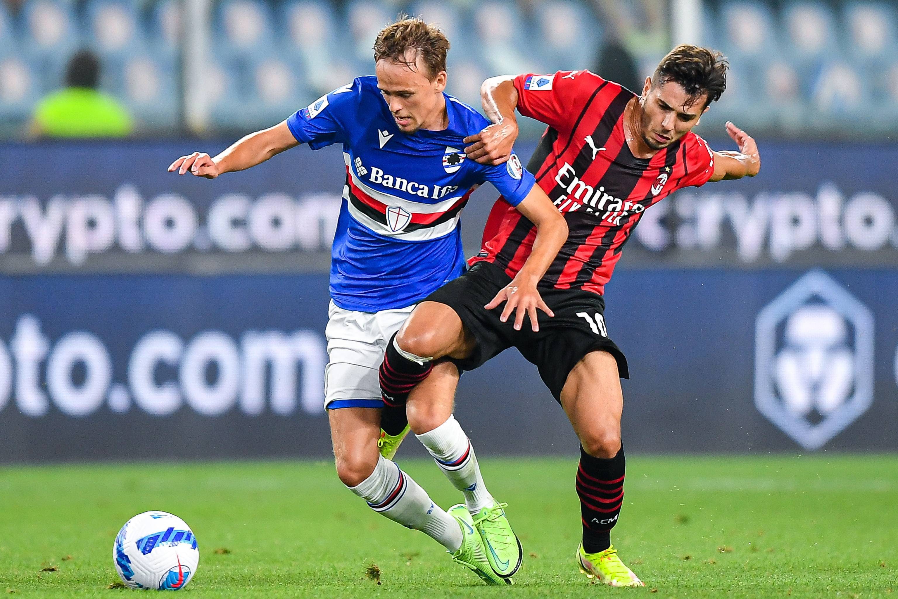 给了陈幸同 给了陈幸同