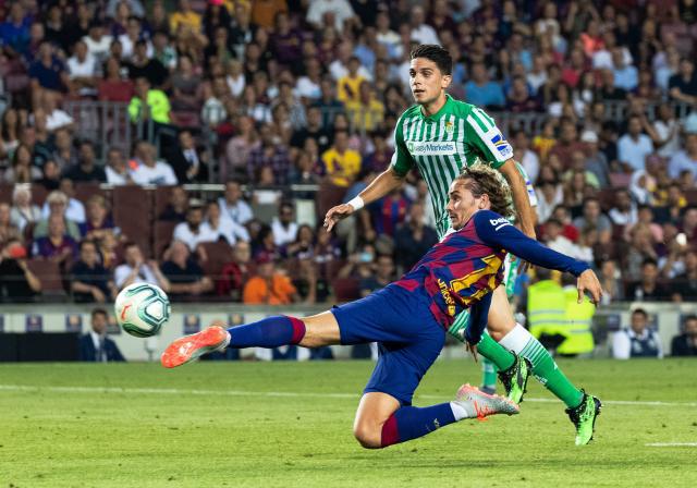 中的佼佼者 中的佼佼者