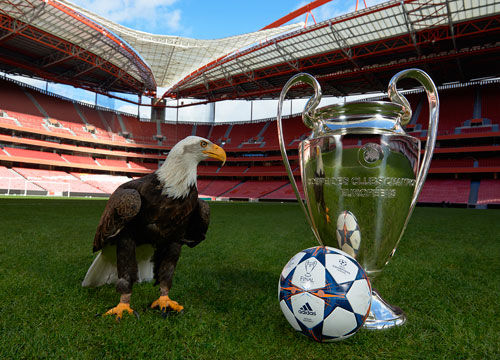 容的调整 容的调整