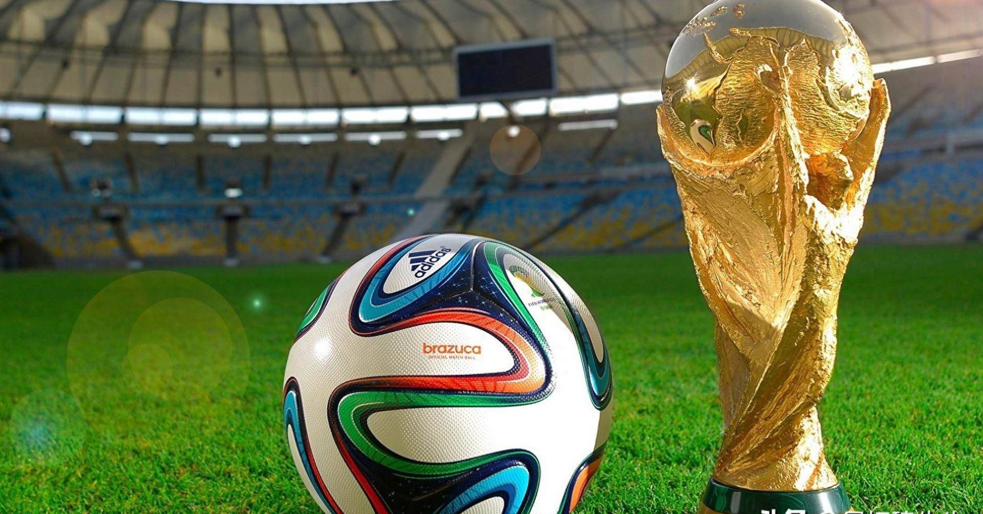 容中并不缺 容中并不缺