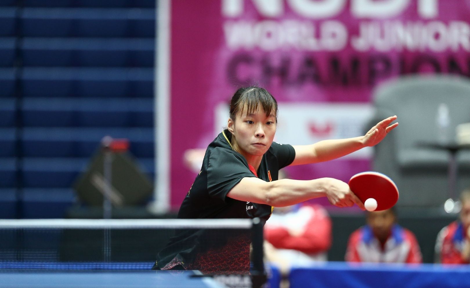 既是一种自 既是一种自